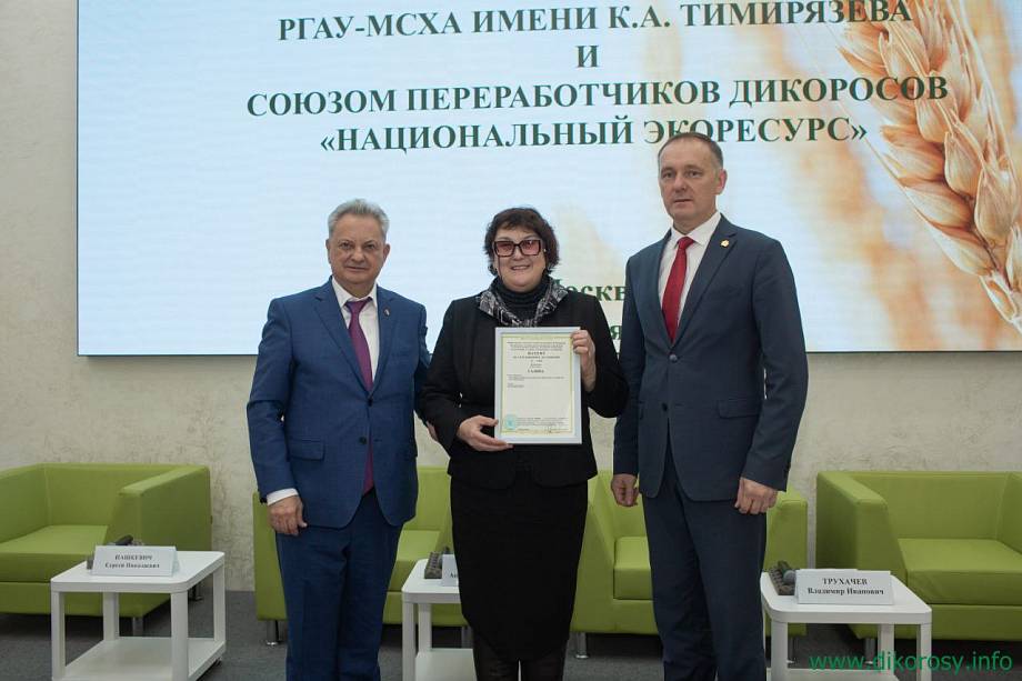 Журнал