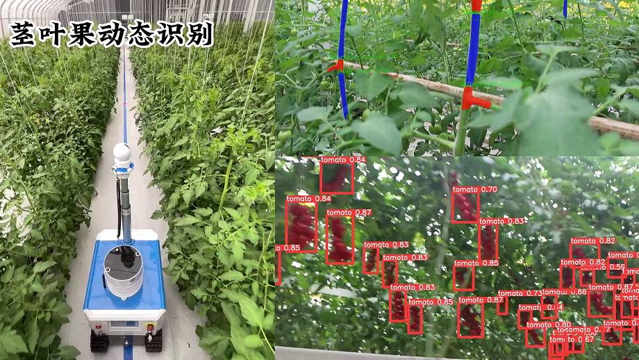 Робот использующий компьютерное зрение для мониторинга урожая. Робот использующий компьютерное зрение для мониторинга урожая.