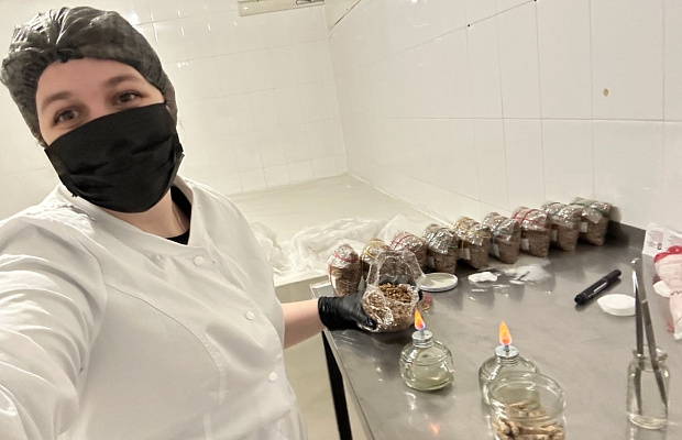 Проект по ускорению роста грибов победил в конкурсе "Студенческий стартап"