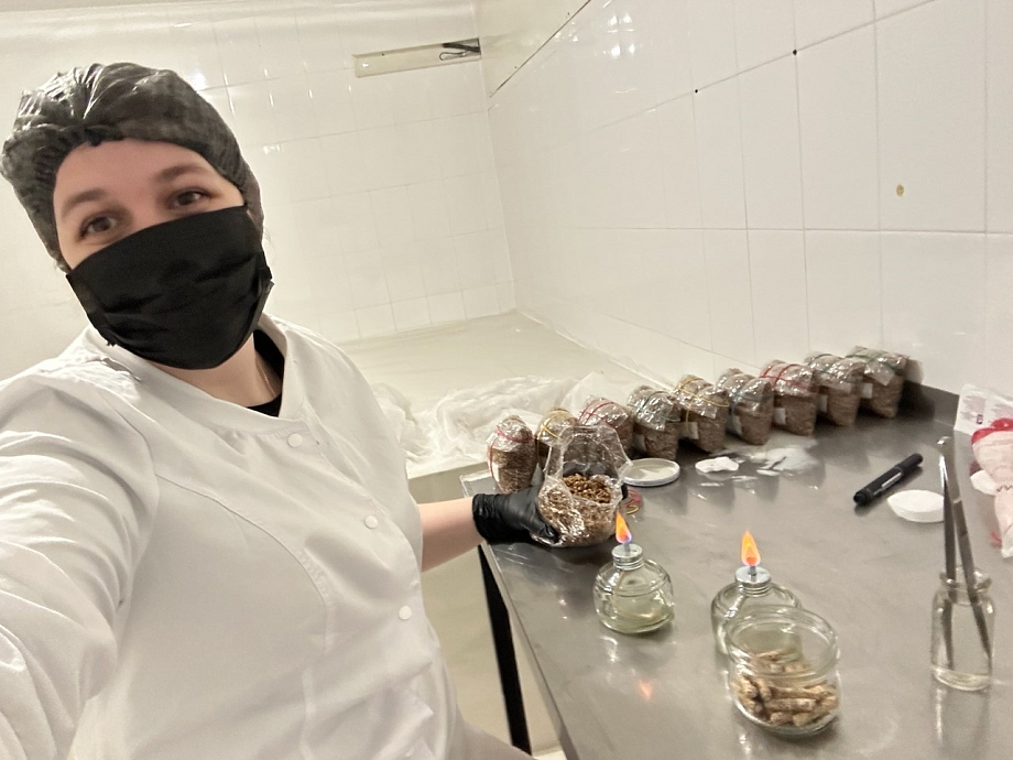 Журнал