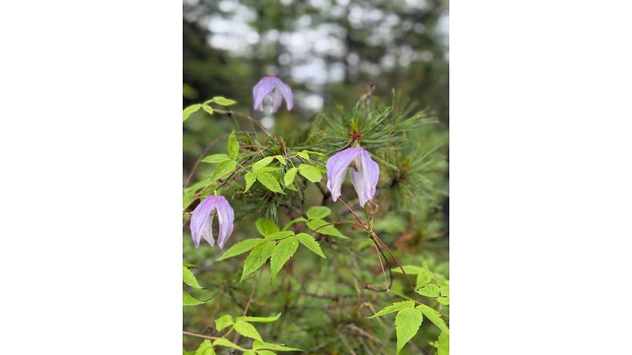 Журнал Журнал