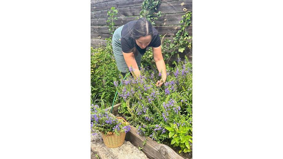 Журнал Журнал