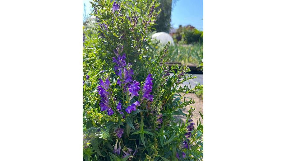 Журнал Журнал