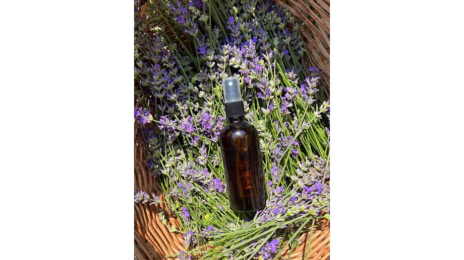 Журнал Журнал