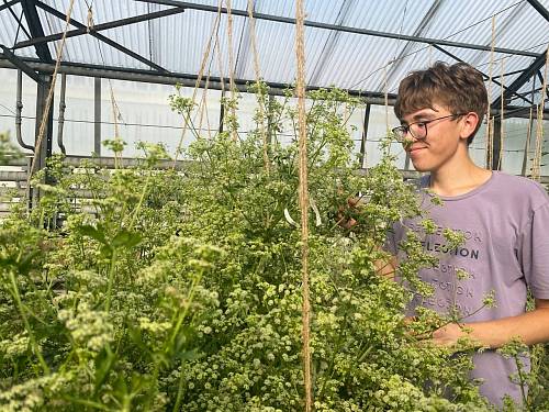 Журнал Журнал