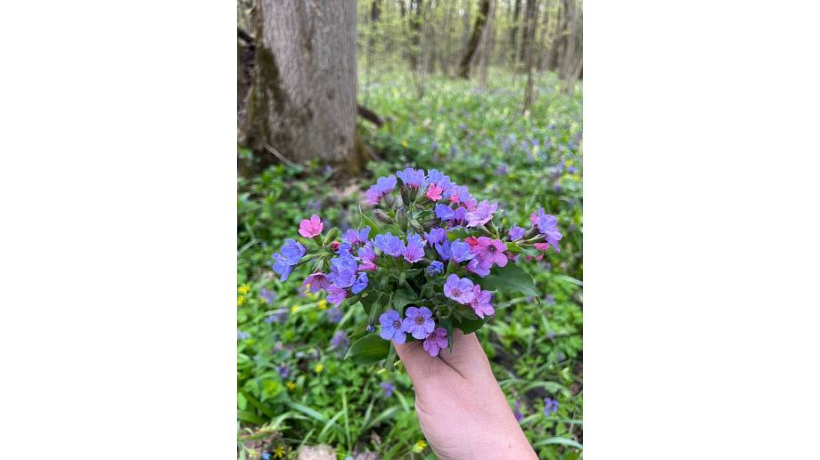 Журнал Журнал