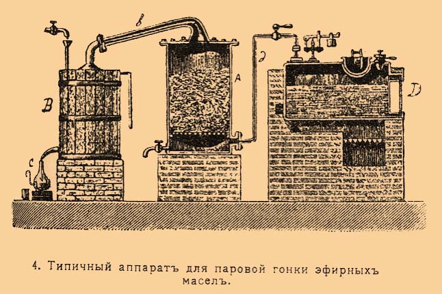 Википедия Википедия